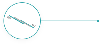 千亿·国际(中国)唯一官方平台